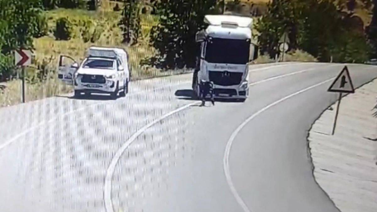 Yaralı kuşu kurtarmak isterken TIR'ın altında kaldı