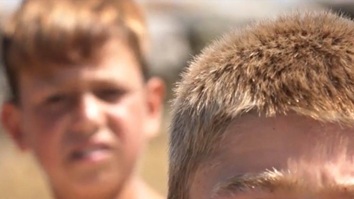 Van Gölü'ne giren 'sarışın' oluyor