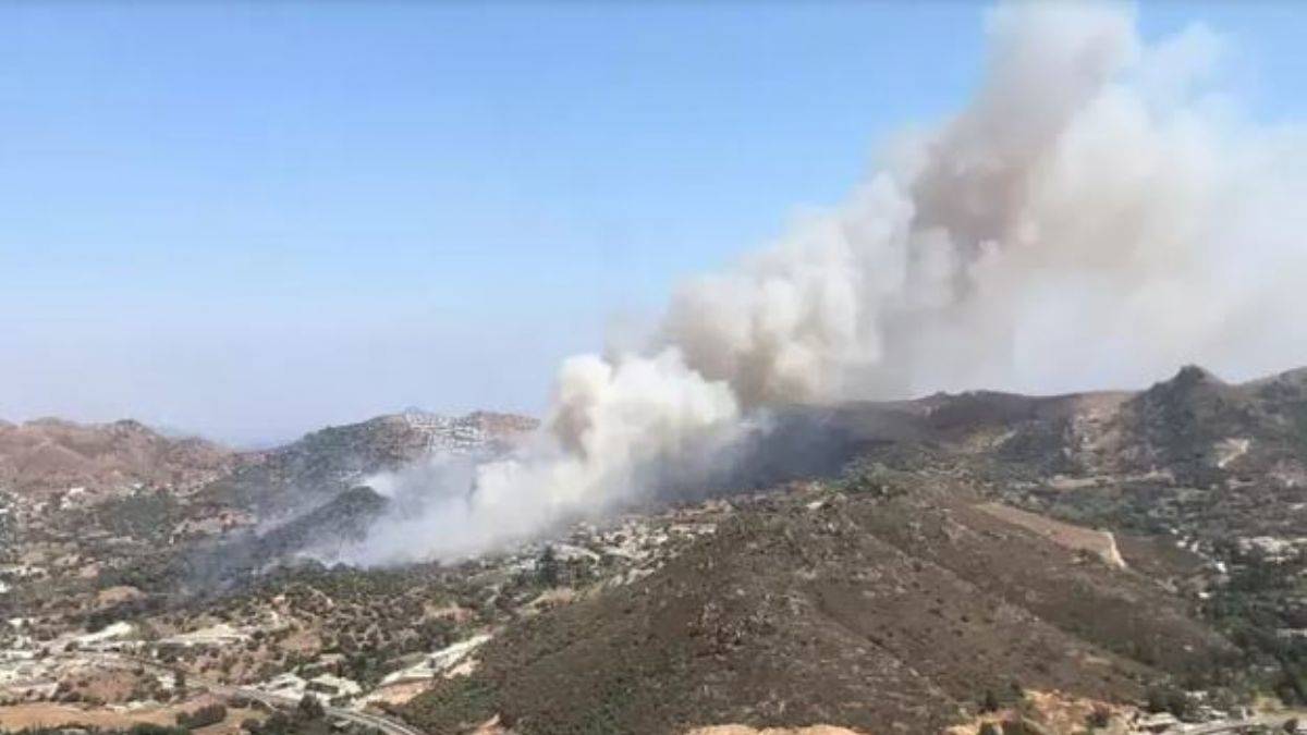 Aydın’da orman yangını son dakika