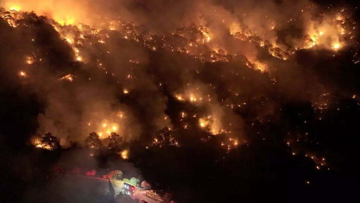 İzmir'deki yangının çıkış nedeni belli oldu