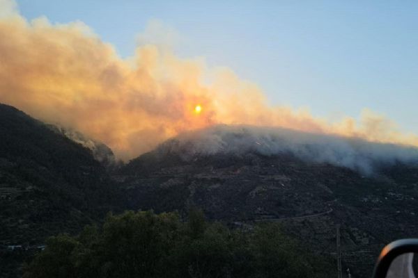 Manisa'daki orman yangınında 4'üncü gün!