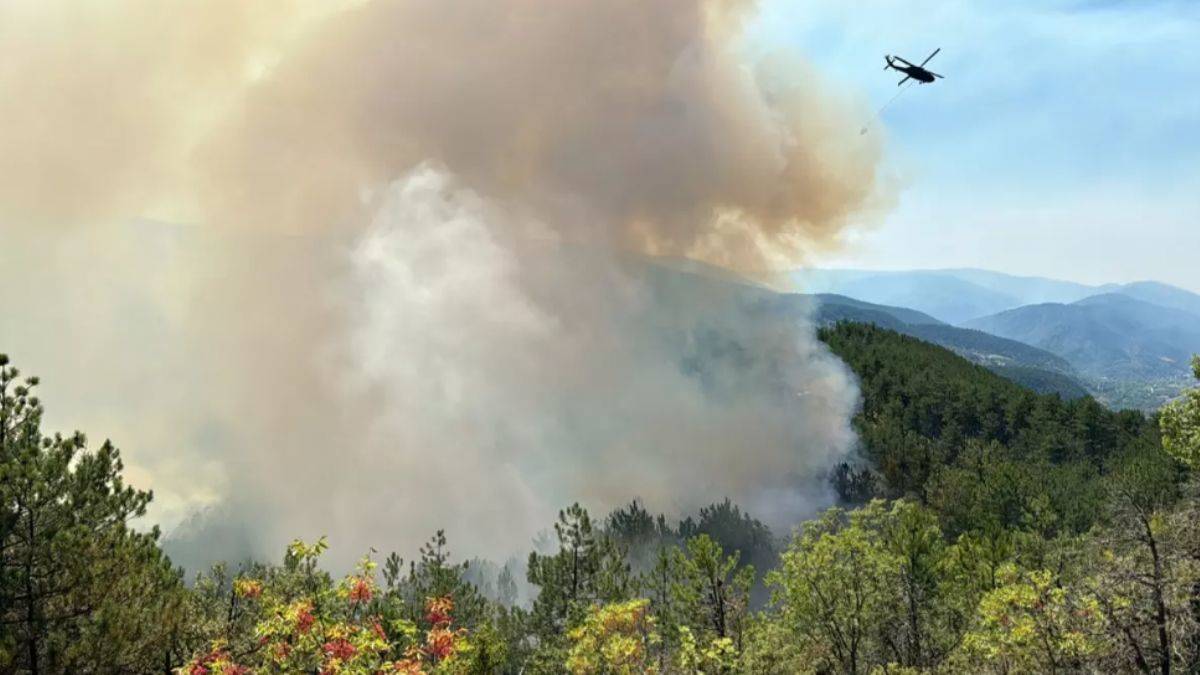 İletişim Başkanlığı, orman yangınlarını söndürme çalışmalarına ilişkin bilgi verdi