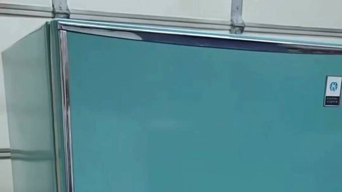 1960'lı Yılların Buzdolabı Teknolojisi Şaşırtıyor