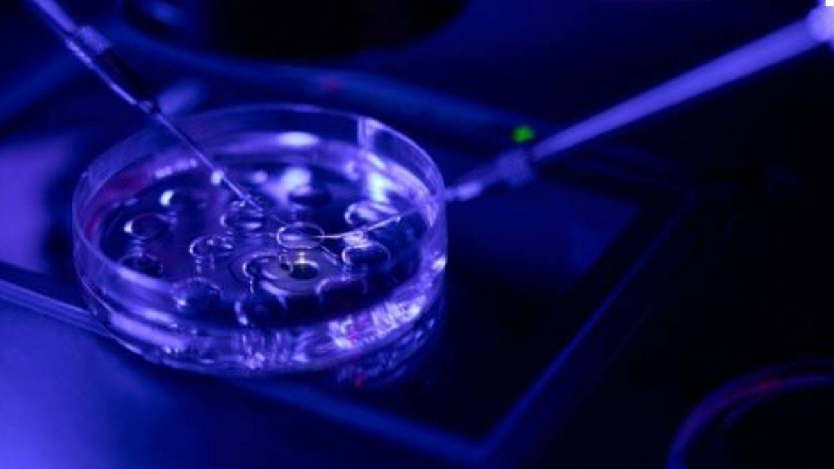 Tüp bebek düşünenler yapay zekayla çok hızlı sonuç alabiliyor