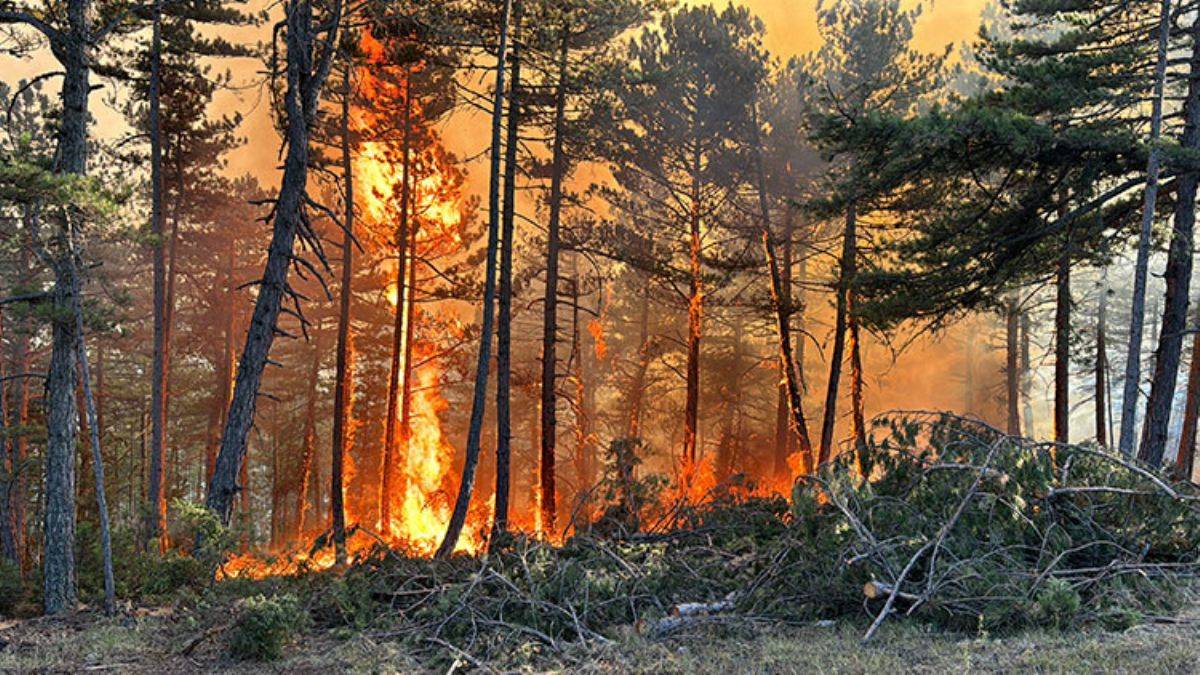 Gözaltına alınan 2 çocuk serbest