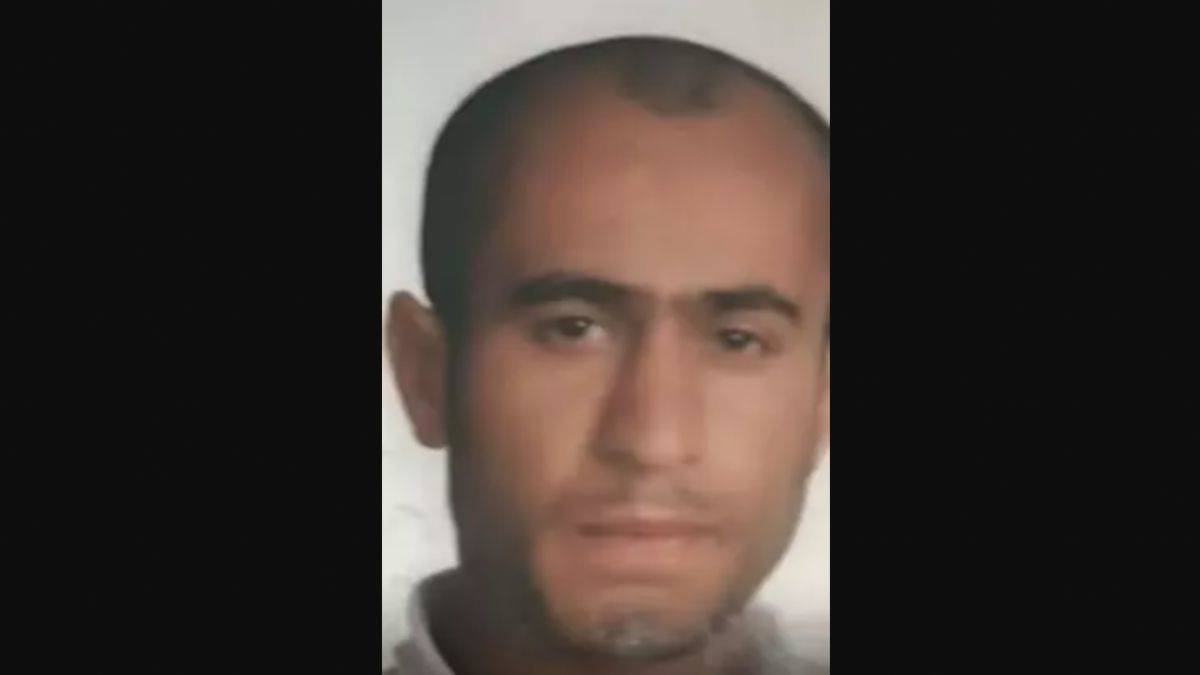 15 başıboş köpek bir kişiyi paramparça edip öldürdü!