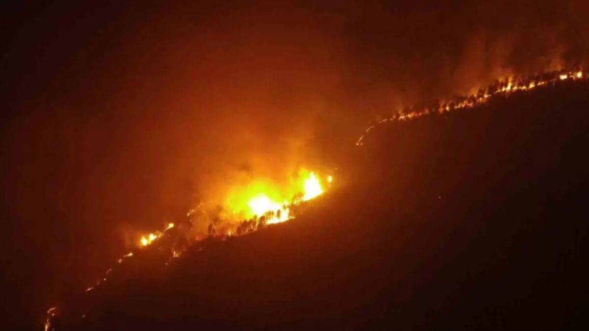 Çankırı'da orman yangını