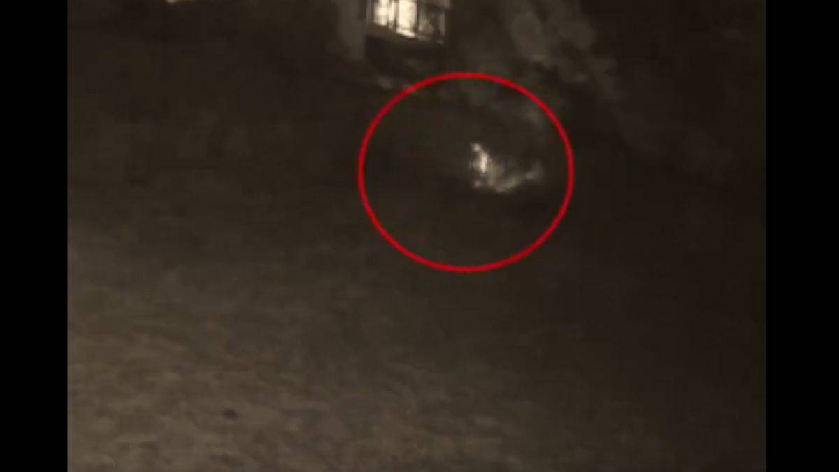 Bozcaada'daki yangının çıkış anları; ateşe verip kaçtı