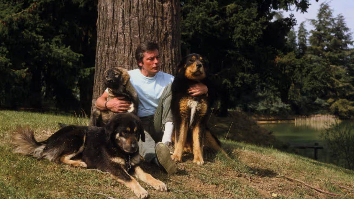 Köpek tapınağı vardı! Son köpeğiyle birlikte gömülme isteği reddedildi