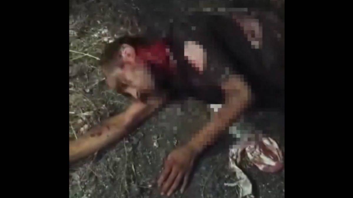 'Hayvansever' kitleye büyük öfke: 'Neredesiniz it taparlar!'