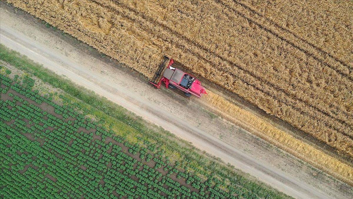 İki yıl ekilmeyen araziler kiraya verilecek