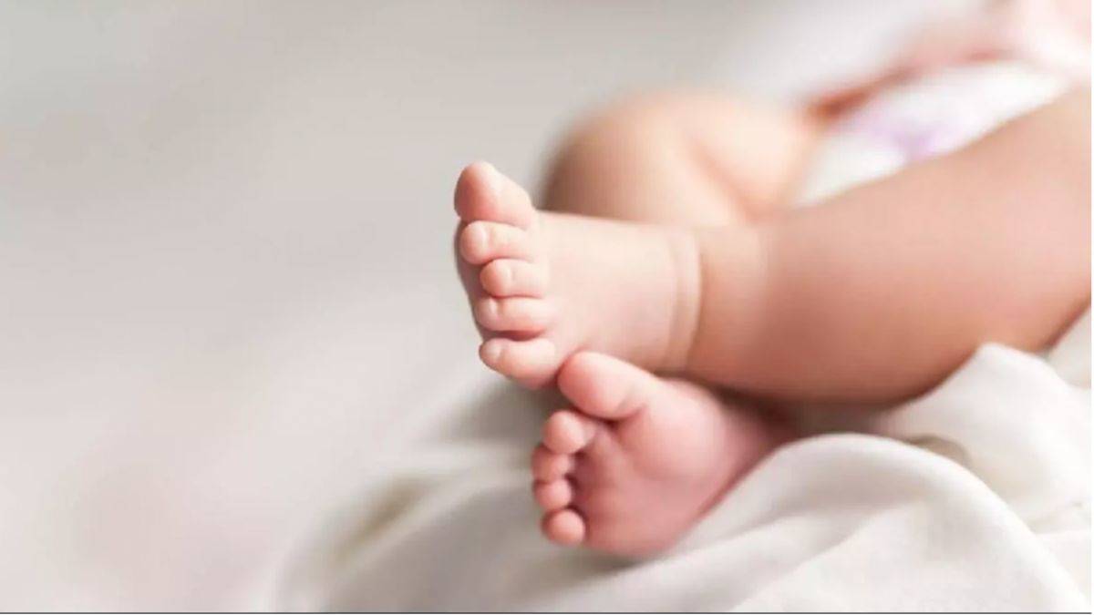 Nüfus artışı göçmenlere bağlı!