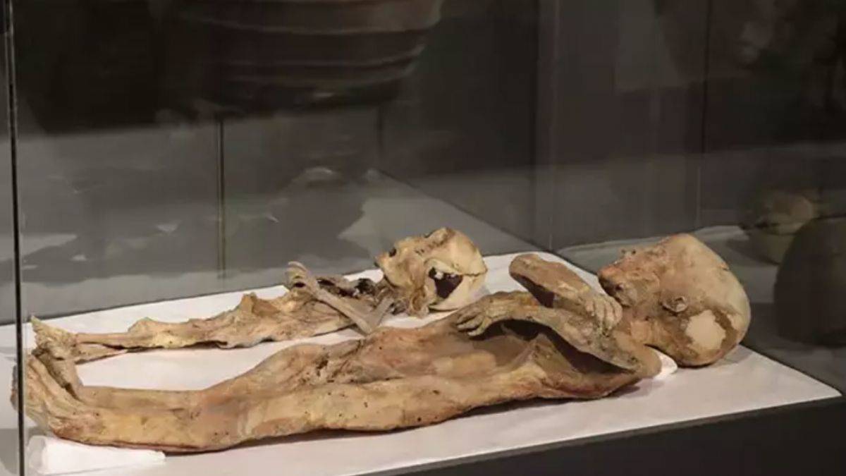 97 yıl önce bulunan 2 çocuk mumyası, ilk günkü gibi
