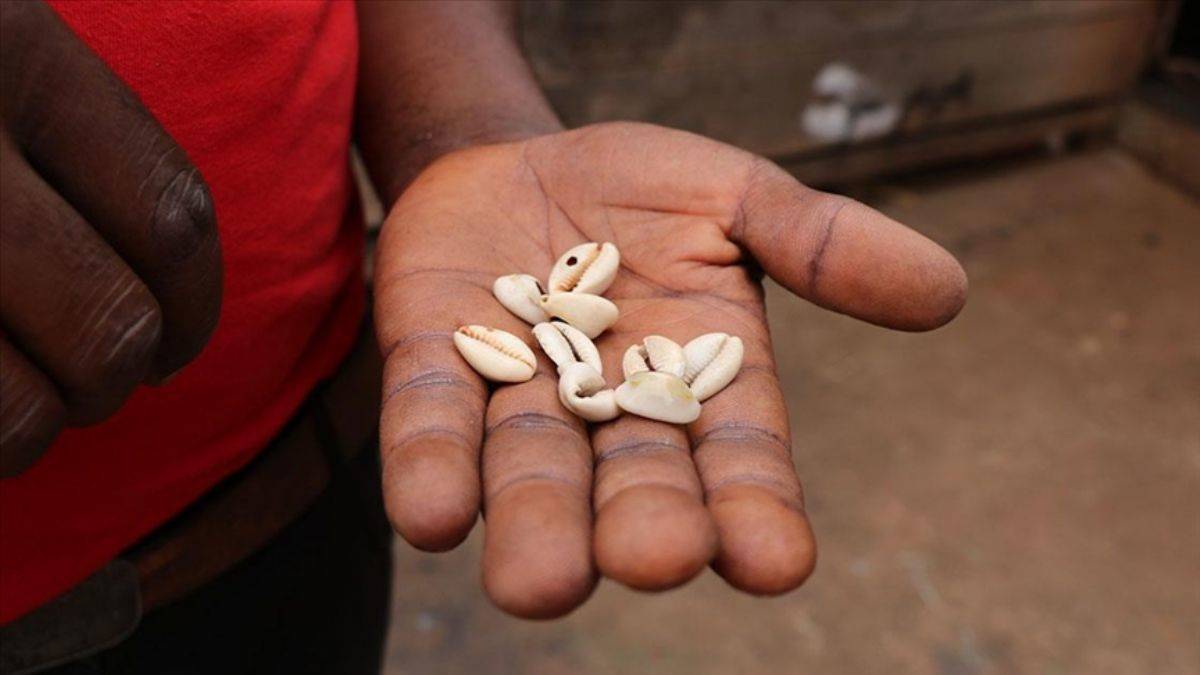 Afrika'daki ilk para deniz kabuğu 'cauri'