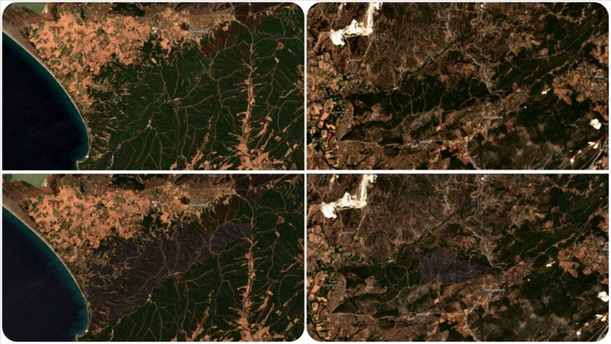 19 bin 600 futbol sahası büyüklüğünde ormanlık alan yandı!
