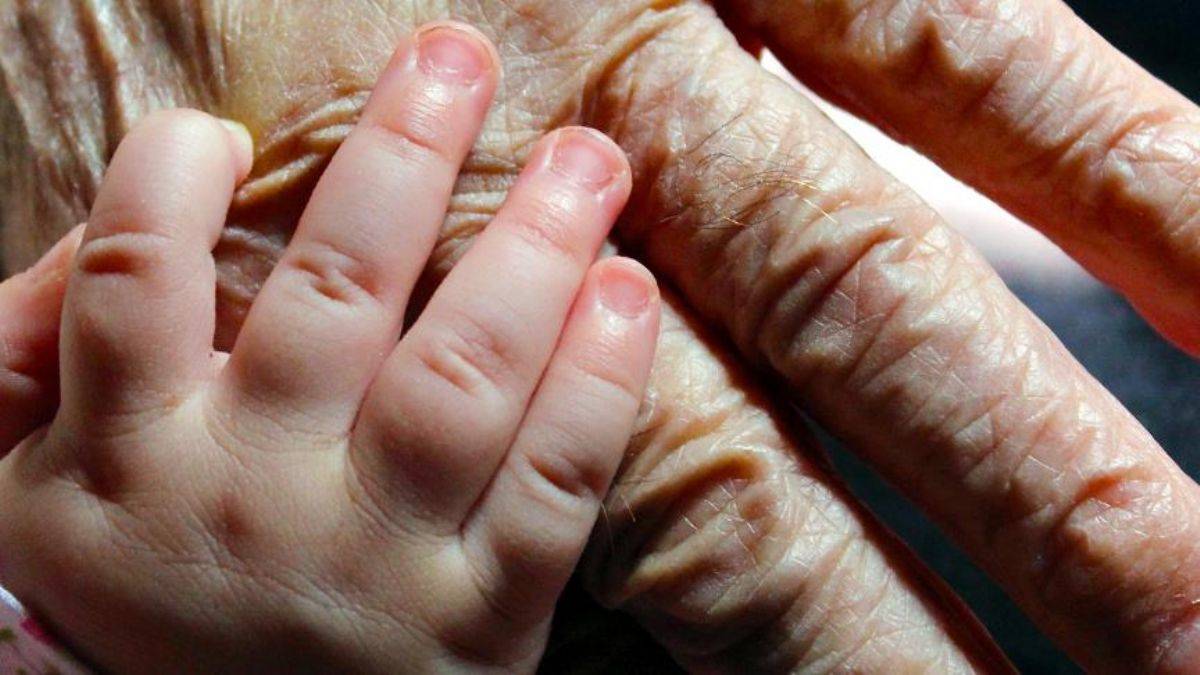 Dr. Sinclair: Yaşlanmayı tersine çevirmeye başladık