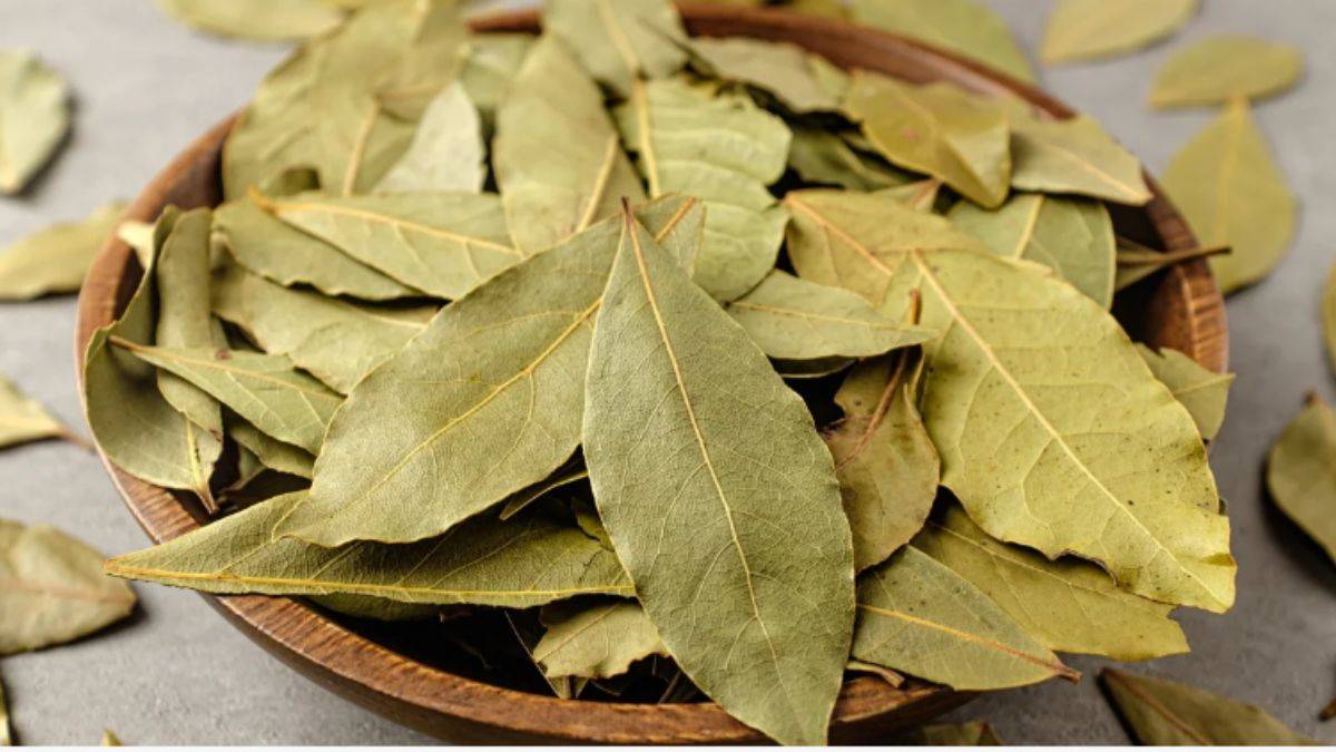 Banyonuza defne yaprağı asmanın sırları
