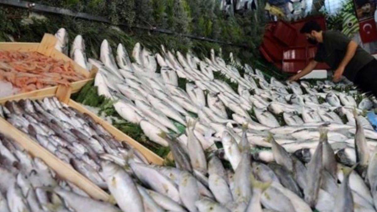 Eylül ayında tüketilmesi gereken 10 lezzetli balık