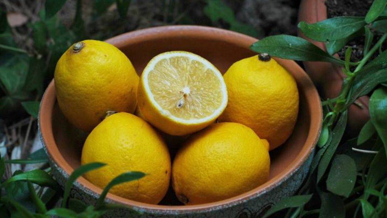 Limon, sadece ekşi tadıyla değil, faydaları ve olası zararlarıyla da mutfağımızın baş tacıdır.