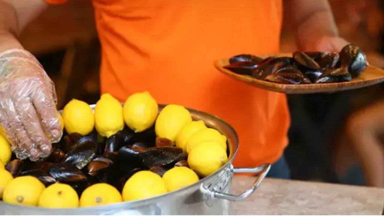 Denizde Kendiliğinden Yetişen Midyelerin Faydaları