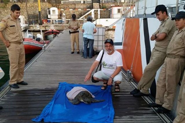 Caretta Deniz Kaplumbağasını Sahil Güvenlik Kurtardı