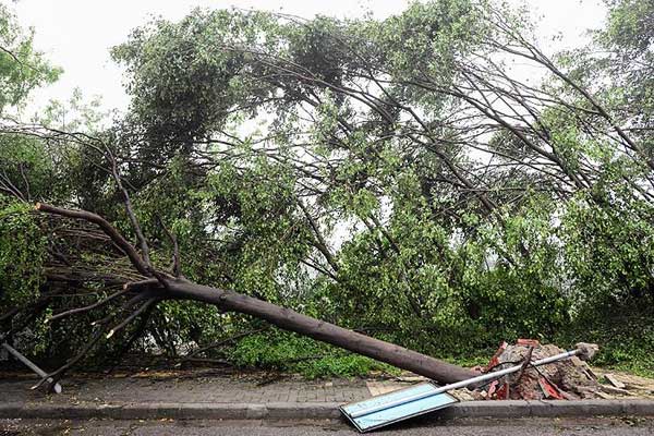 Çin'de hortum 51 can aldı