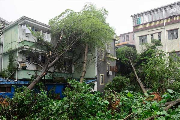 Çin'deki hortum ve fırtınada bilanço artıyor