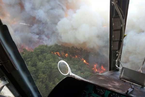 Antalya'da orman yangını