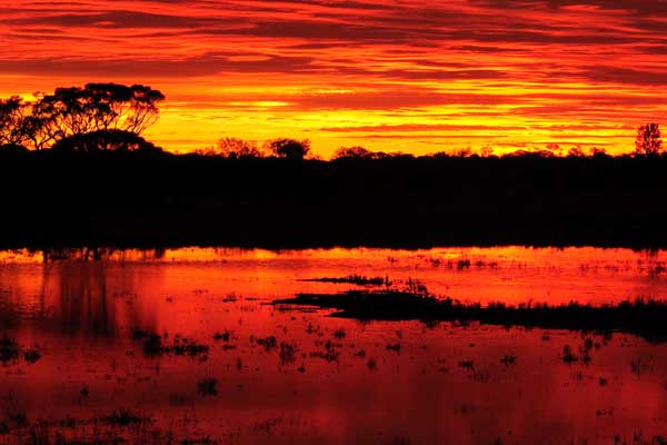 Sıcaklıklar doğal afet seviyesinde