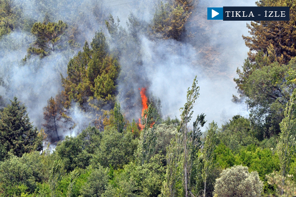 Antalya'da yangın hala devam ediyor