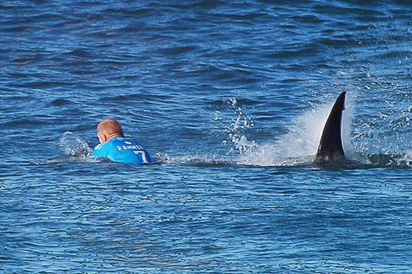 11 yaşındaki çocuğa köpek balığı saldırdı