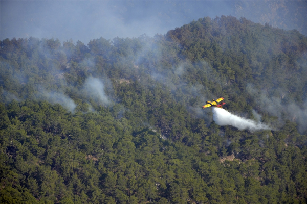 Orman yangını tamamen kontrol altında