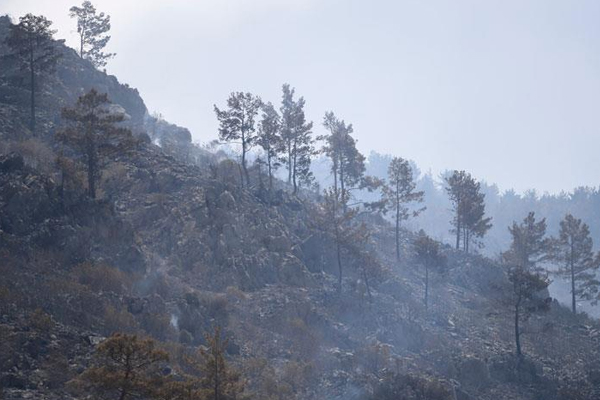 Kumluca'da yangın sonrası soğutma çalışmaları