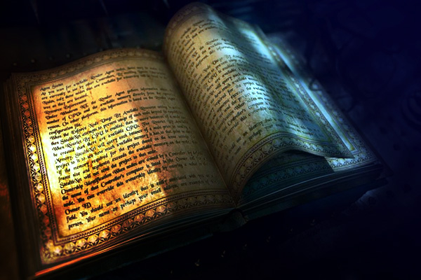 Ümmetin gençlerine salih bir örnek: Pala'nın hikayesi