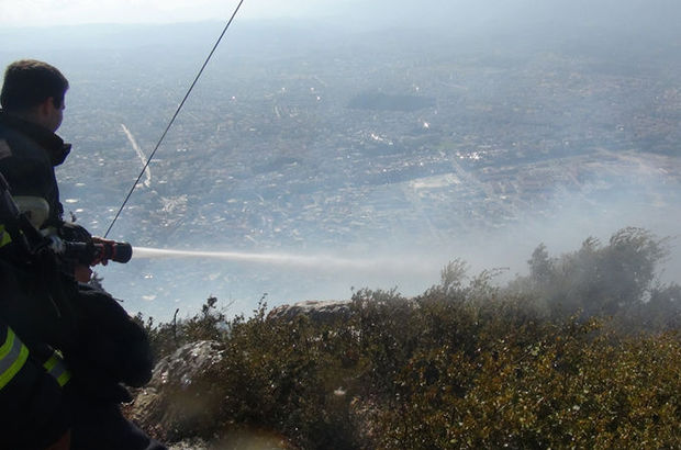 Hatay'da orman yangını