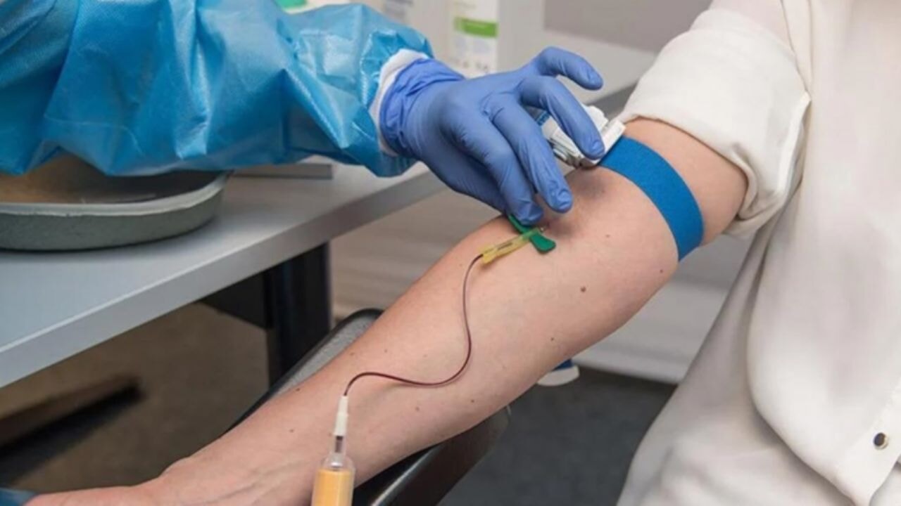 En öfkeli ve agresif kan grubu bakın hangisiymiş