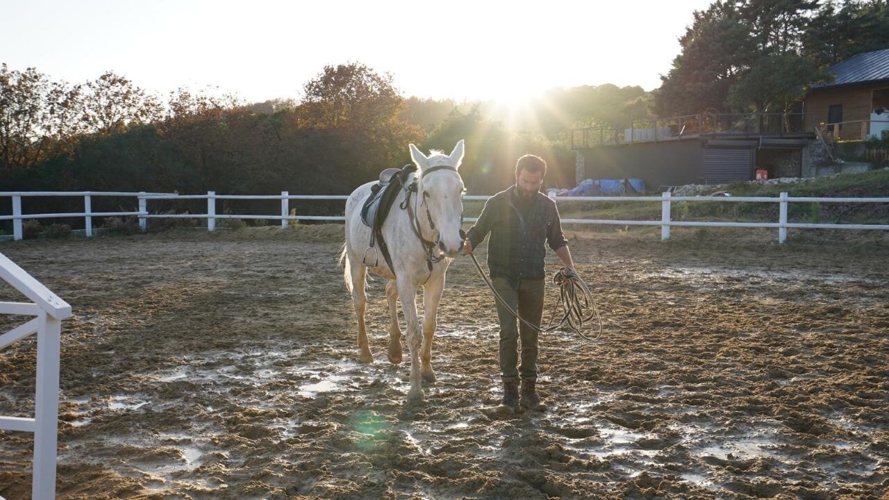 Usta Binici ve Eğitmen Ercan Sipahi'den atçılık ve binicilik üzerine tüm merak edilenler