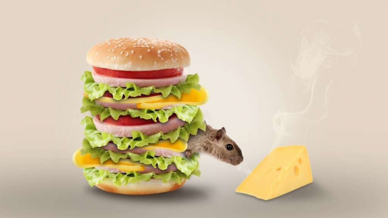 'Soğan ekmek yiyin, fast food yemeyin'