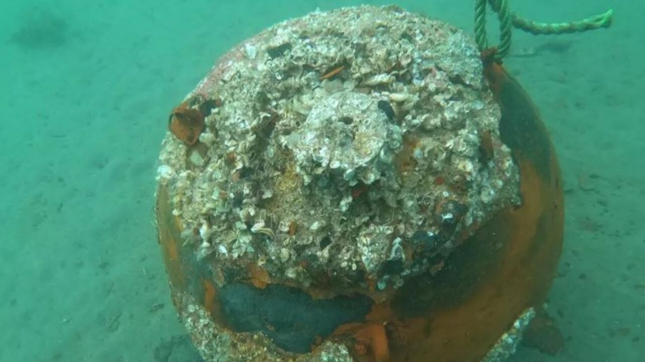 Ezine ilçesinde Çanakkale Savaşları'ndan kalan 110 yıllık deniz mayını imha edildi