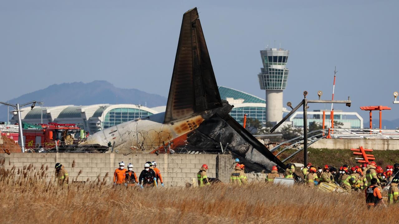 Uçak kazasında motorlarda kuş tüyleri bulundu