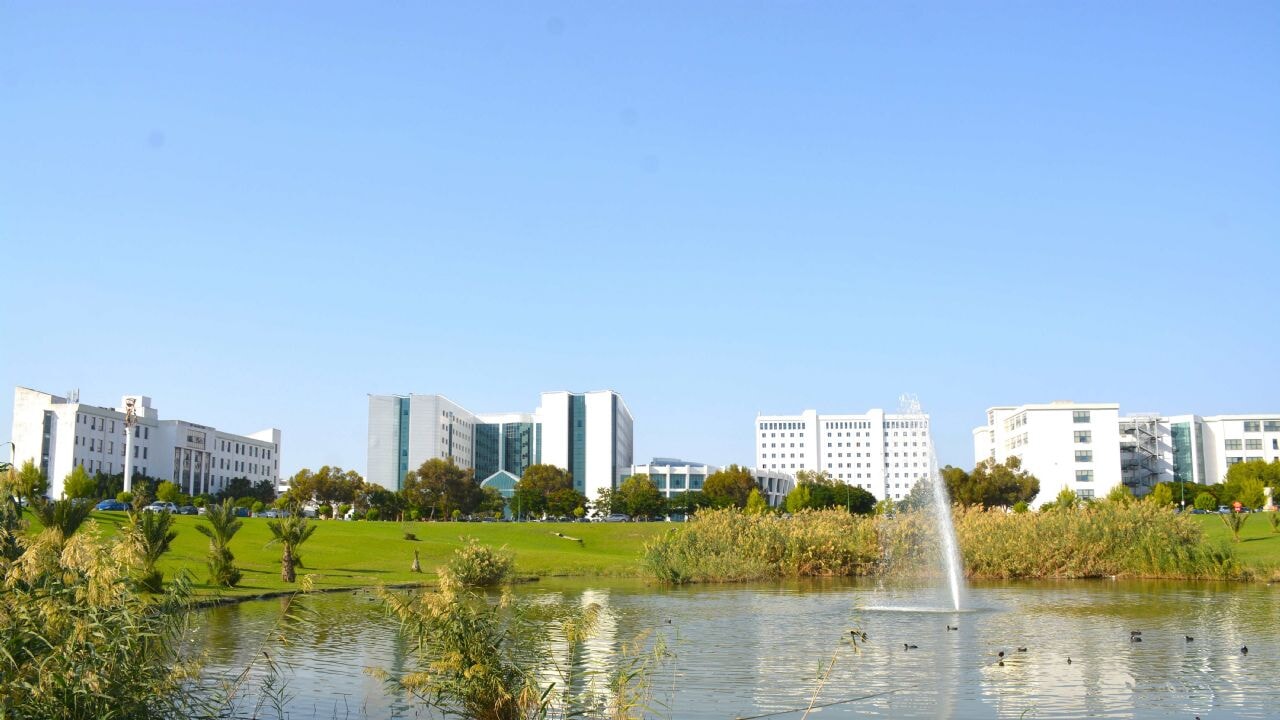 Antibiyotik Dirençli Bakteriye Karşı Üçlü Faj Kokteyli Geliyor!