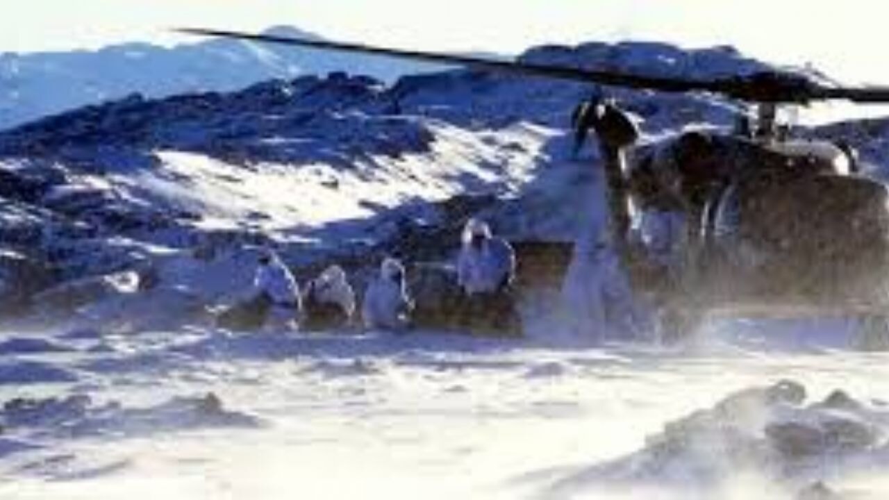 Gürz-43 operasyonunda büyük zafer: Silah ve patlayıcılar yok edildi