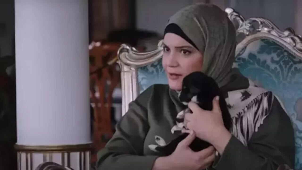 Kızılcık Şerbeti dizisindeki köpek sahnesi Sağlık Bakanlığı'ndan tepki aldı