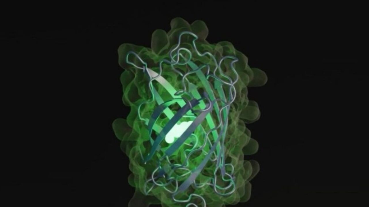 Yapay zeka protein üretti