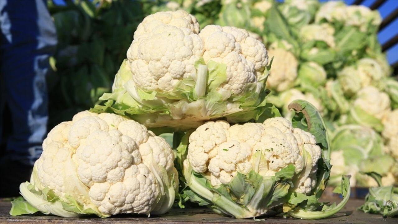 Çiftçi mağdur: 'Fiyatlarda denetim istiyoruz'