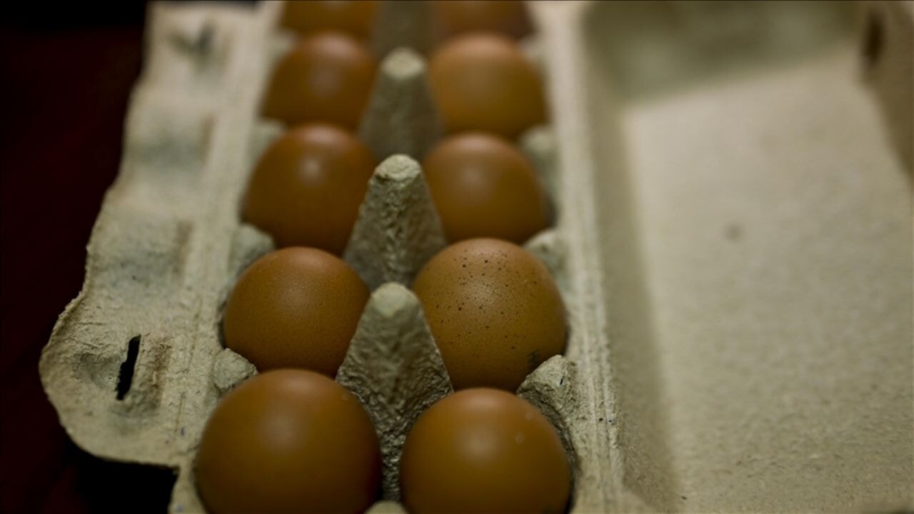 ABD, kuş gribi krizinde Türk yumurtasını seçiyor. Yumurtada fiyat artışına yol açtı