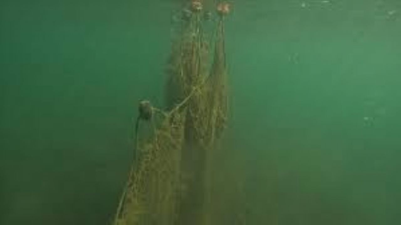 Mavi sulardan geçen yıl 224 futbol sahası büyüklüğünde hayalet ağ çıkarıldı