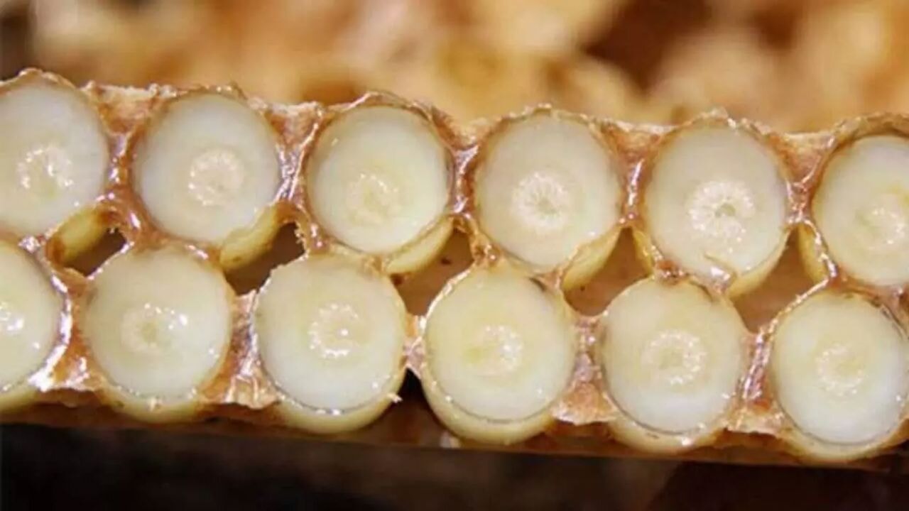 Her derde deva arı sütü: 10 maddede arı sütü