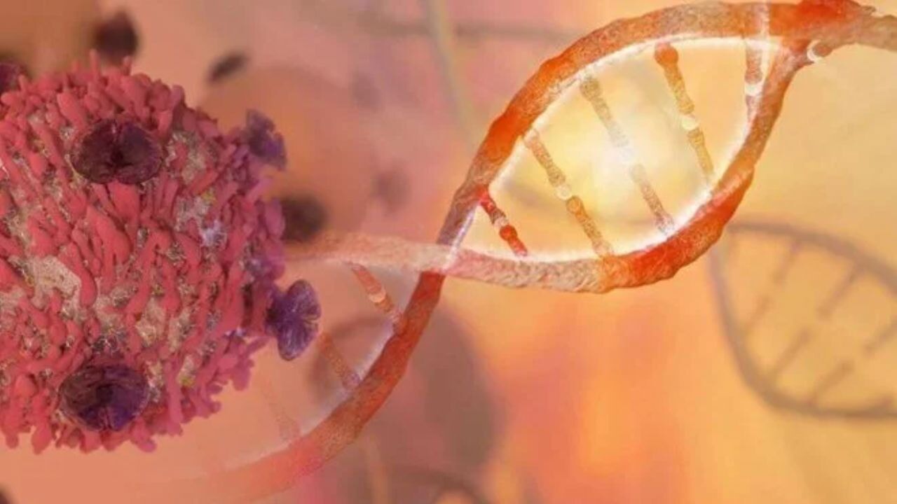 Ölümcül Pankreas Kanserine karşı çığır açan aşı!