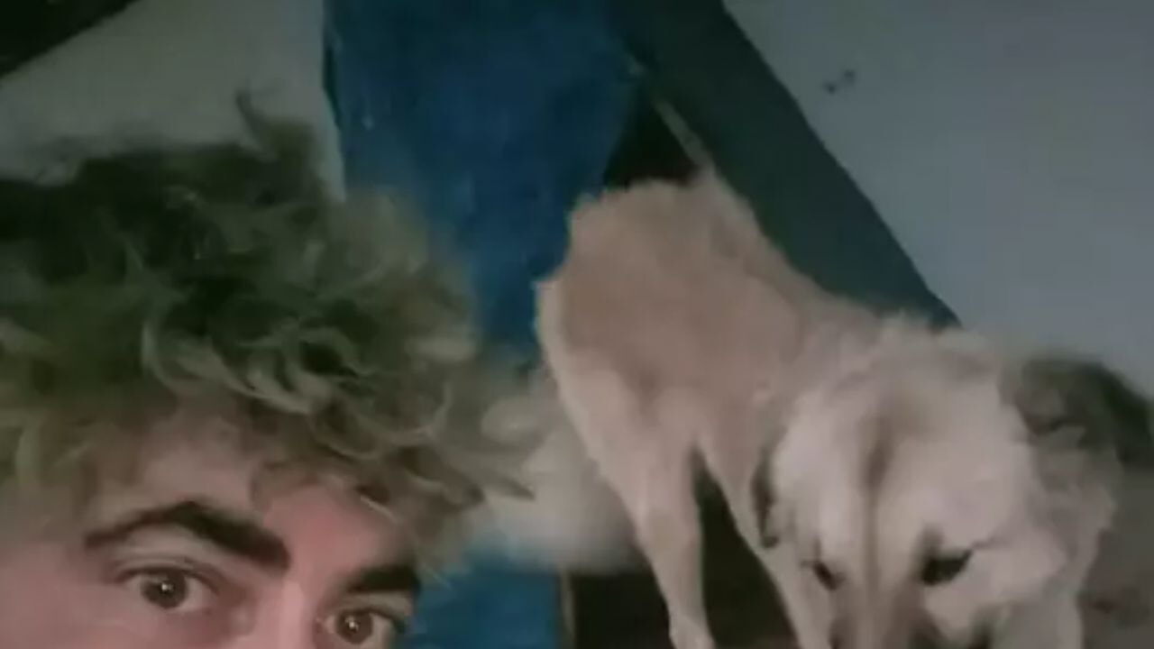 Bodrum'da korkunç kaza